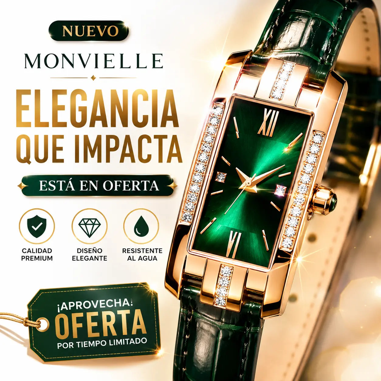RELOJ MONVIELLE